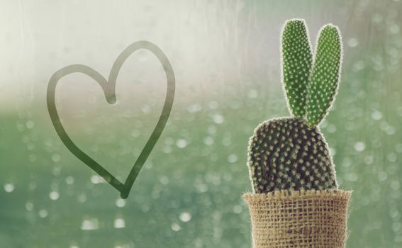 cactus on a rainy day with handwriting heart shape on water drop at window background. drops of rain on window glass background.