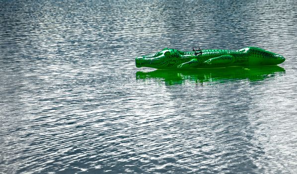 Green conceited crocodile to the play in the water