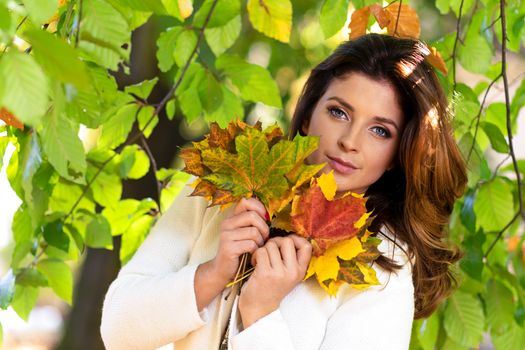 Portrait of a beautiful and lovely young woman holding fallen leaves on a blurred background of the autumn park on a sunny day.