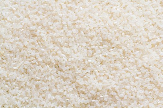 Background of short grain rice, japanese rice 
