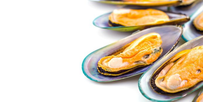 Fresh green shell mussel on white background, seafood product, food ingredient