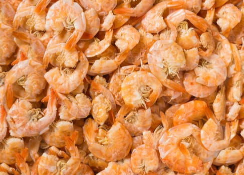 Fresh group of dried shrimp, background style 
