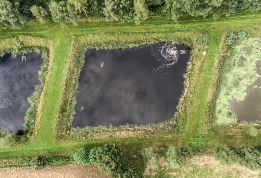 Pond of a pisciculture, aerial photo vertically from above