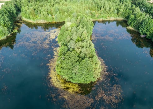 Aerial photo of an island in the pond, from the front and from above