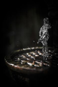 A figure almost human seems to emerge from a gushing fountain.