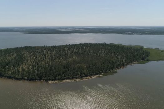 View from above on the coastal forest tundra. River and islands with taiga.