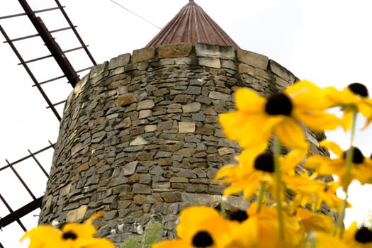 French mill with blurred yellow flowers in the foreground