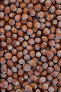 Top view of a group of hazelnuts of season.