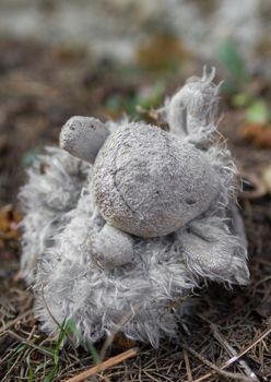 Close-up of lonely abandoned teddy bear toy in the forest.