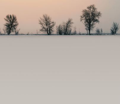 winter landscape snow on the ground and trees without leaves