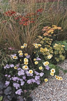 Colourful flower border with Helenium,  Anthemis,  Astilbes and assorted grasses in a country garden