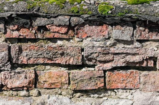 pattern texture background old brick wall and green moss close up