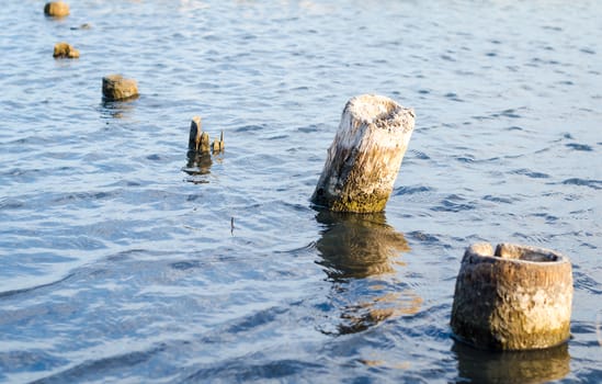 wooden posts in blue water close up