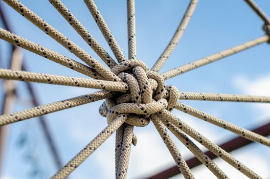many ropes and one big knot black and white abstract background close up
