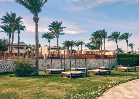 empty beach beds on green lawn of the coast of southern Sinai Egypt Sharm El Sheikh