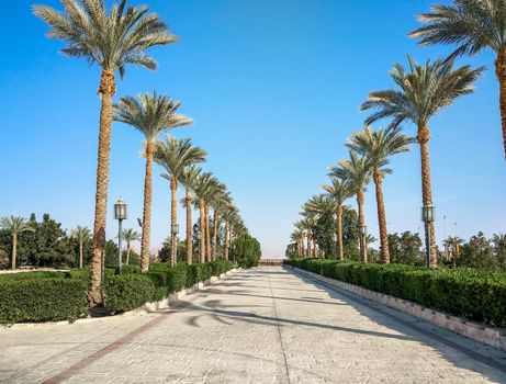 empty street with palm trees without people during quarantine in Egypt Sharm El Sheikh