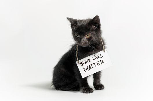 little dark kitten with the slogan black lives matter on white background isolated