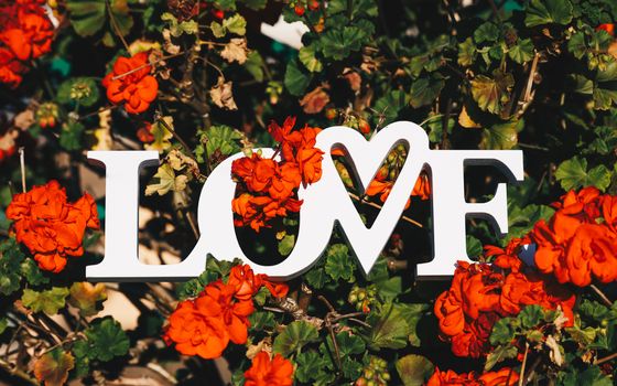 Creative layout with colorful flowers, leaves and Word LOVE. Love concept.