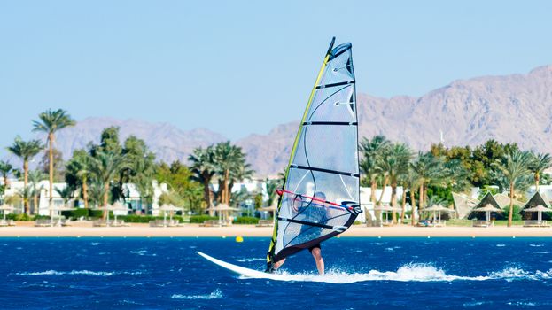 windsurfer rides on the waves of the Red Sea on the background of the beach with palm trees and high mountains in Egypt Dahab