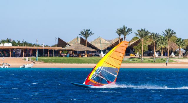 surfer rides in the sea on the background of the beach with palm trees in Egypt