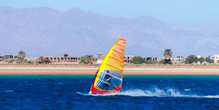windsurfing in the blue water on the background of the beach with palm trees and mountains