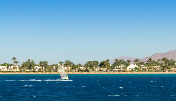 windsurfer rides on the background of the beach with palm trees and rocky mountains in Egypt Dahab