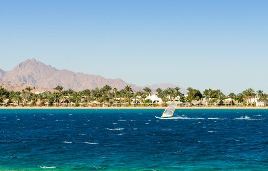 windsurfer rides on the background of the beach with palm trees and rocky mountains in Egypt Dahab