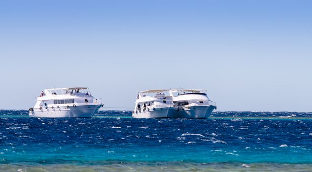 three white pleasure boat in the Red Sea