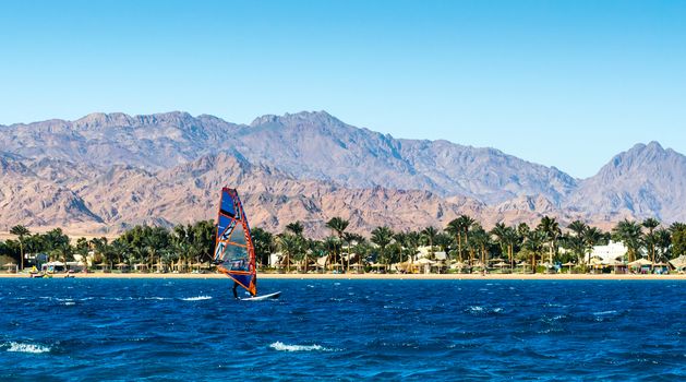 windsurfer rides in the sea on the background of the beach with palm trees and high rocky mountains in Egypt Dahab