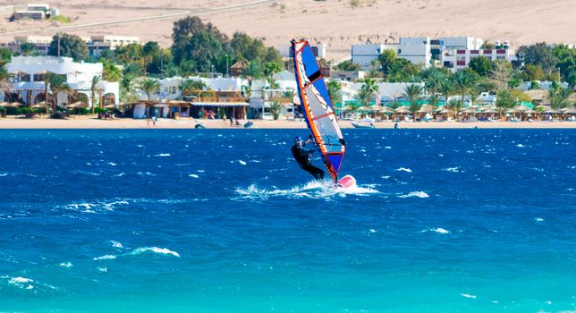 windsurfer rides on the background of the beach with a hotel and palm trees in Egypt Dahab