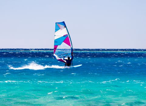 windsurfer rides on the waves of the Red Sea