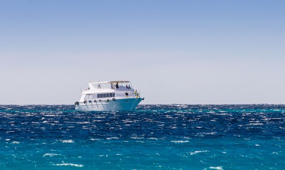 white pleasure boat in the Red Sea