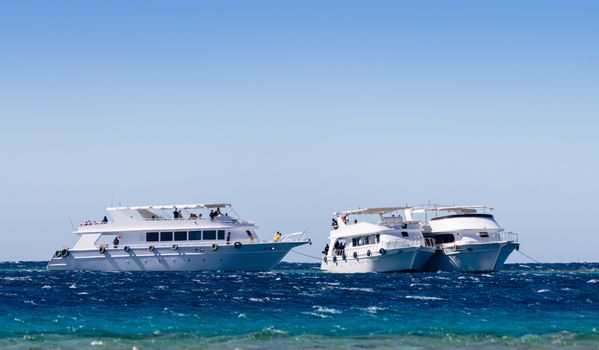 three white pleasure boat in the Red Sea