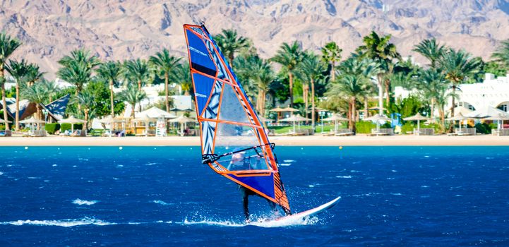 windsurfer rides on the background of the beach with a hotel and palm trees in Egypt Dahab