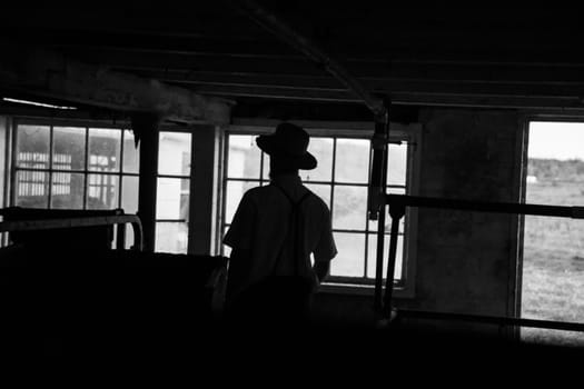 Amish farmer silhouetted  and unrecognisable from back view wearing hat and looking out in darkness of milking shed, Lancaster County, PA.