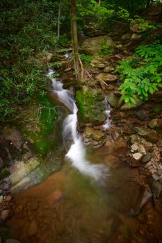 Small waterfall in Pisgah National Forest, NC.