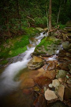 Small waterfall in Pisgah National Forest, NC.