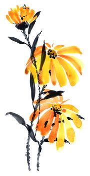 Botanical illustration of calendula bouquet - blossom meadow plant with orange flowers. Watercolor hand drawn painting.