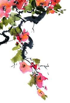 Watercolor and ink illustration of blossom tree with pink flowers and leaves. Oriental traditional painting in style sumi-e, u-sin and gohua.