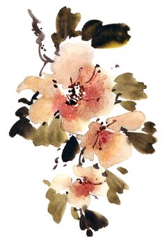 Watercolor and ink illustration of apple tree with flowers and leaves. Oriental traditional painting in style sumi-e, u-sin and gohua.