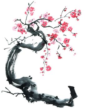 Watercolor and ink illustration of blossom sakura tree with pink flowers on white background. Oriental traditional painting in style sumi-e, u-sin.