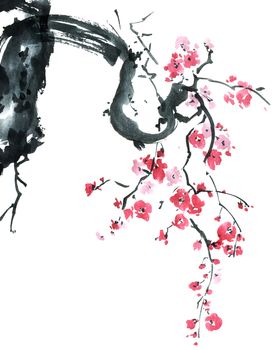 Watercolor and ink illustration of blossom sakura tree with pink flowers on white background. Oriental traditional painting in style sumi-e, u-sin.