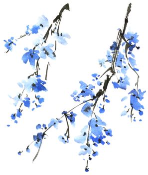 Watercolor and ink illustration of blossom tree with blue flowers on white background. Oriental traditional painting in style sumi-e, u-sin.