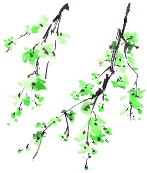 Watercolor and ink illustration of tree branch with green leaves on white background. Oriental traditional painting in style sumi-e, u-sin.