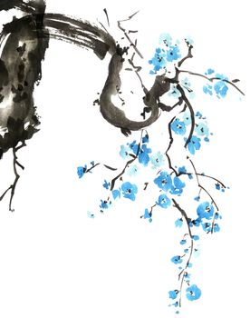 Watercolor and ink illustration of blossom tree with blue flowers on white background. Oriental traditional painting in style sumi-e, u-sin.