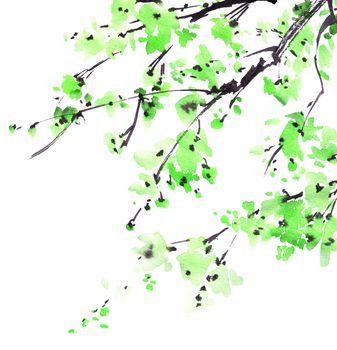 Watercolor and ink illustration of tree branch with green leaves on white background. Oriental traditional painting in style sumi-e, u-sin.