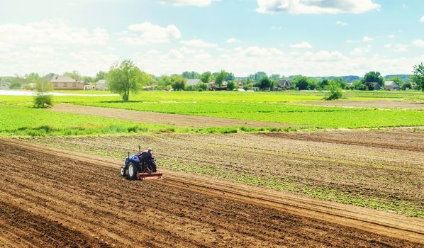 Farmer on a tractor with milling machine loosens, grinds and mixes ground. Cultivating land soil for further planting. Loosening, improving soil quality. Food production on vegetable plantations.