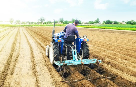 Farmer on a tractor making ridges and mounds rows on a farm field. Preparing the land for planting future crop plants. Cultivation of soil for planting. Agroindustry, agribusiness. European farmland.