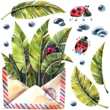 Watercolor illustration of envelop, leaves, ladybug and waterdrops. Artistic spring set.