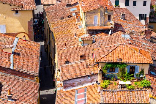 View over Italian town Lucca with typical terracotta roofs